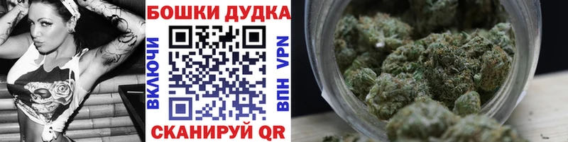 Где можно купить наркотики Бабаево Alpha PVP  Псилоцибиновые грибы  МЕФ  Каннабис  Cocaine 