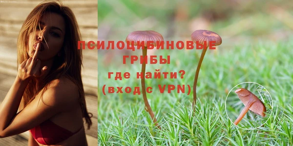 соль курить ск Арсеньев