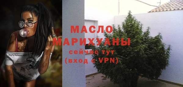 мдпв Пестово